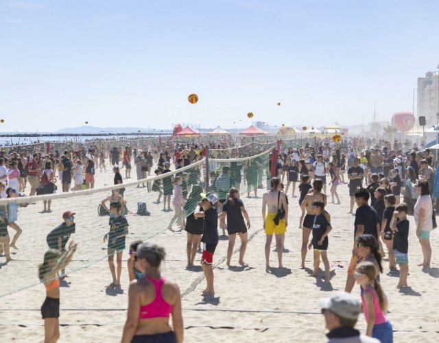 25° YOUNG VOLLEY MAGGIO